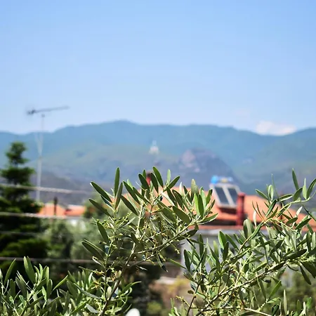 Διαμέρισμα Anesis Pantazis *